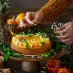 475f4cbac7181a3e66efd32ea3fb40d7